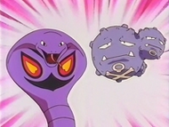 Weezing de James junto al Arbok de Jessie.