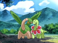 EP438 Tropius y Meganium