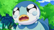 EP606 Piplup llorando