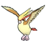 Pidgeot XY