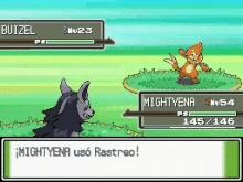 Mightyena usando rastreo en la cuarta generación.