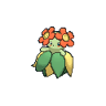 Bellossom