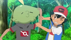 EP1147 Gulpin usando viscosidad