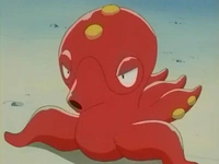 EP217 Octillery (6)