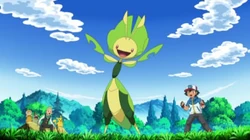 EP736 Leavanny de Ash