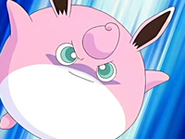 El Wigglytuff de Harley preparandose para usar golpe cuerpo.