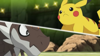 Tyrunt vs. Pikachu.