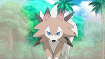 Imagen de Lycanroc de Olivia/Mayla