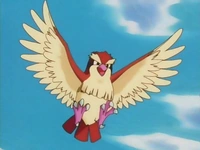 Imagen de Pidgey