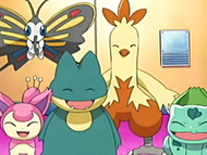 Bulbasaur junto a todo el equipo de May/Aura en Hoenn.