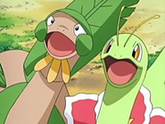 EP438 Tropius y Meganium (3)