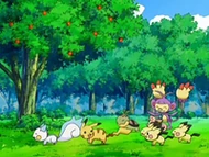 EP553 Pokémon jugando.png (84 kB) Algunos de los Pokémon del Sr. Fortuny y de los protagonistas jugando en el jardín de la mansión.