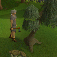 Tala Runescape Wiki Fandom