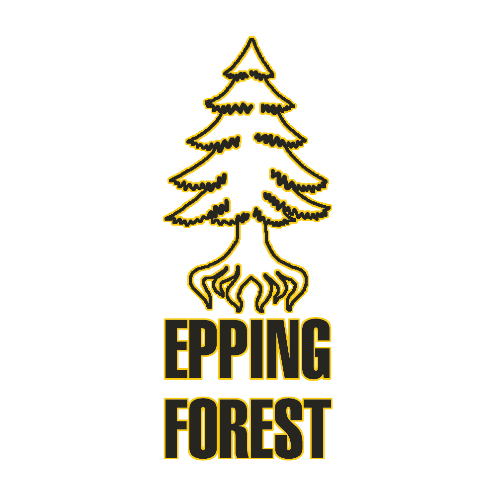 Epping Forest FC EssexiAirPremierLeague Wiki Fandom