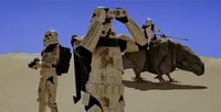 Soldados de asalto del desierto aseguran el .