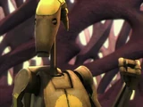 224