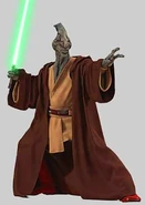 Colemar trebor.jpg (18 kB) el maestro coleman trebor con su tunica