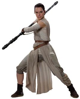 Rey2-Fathead