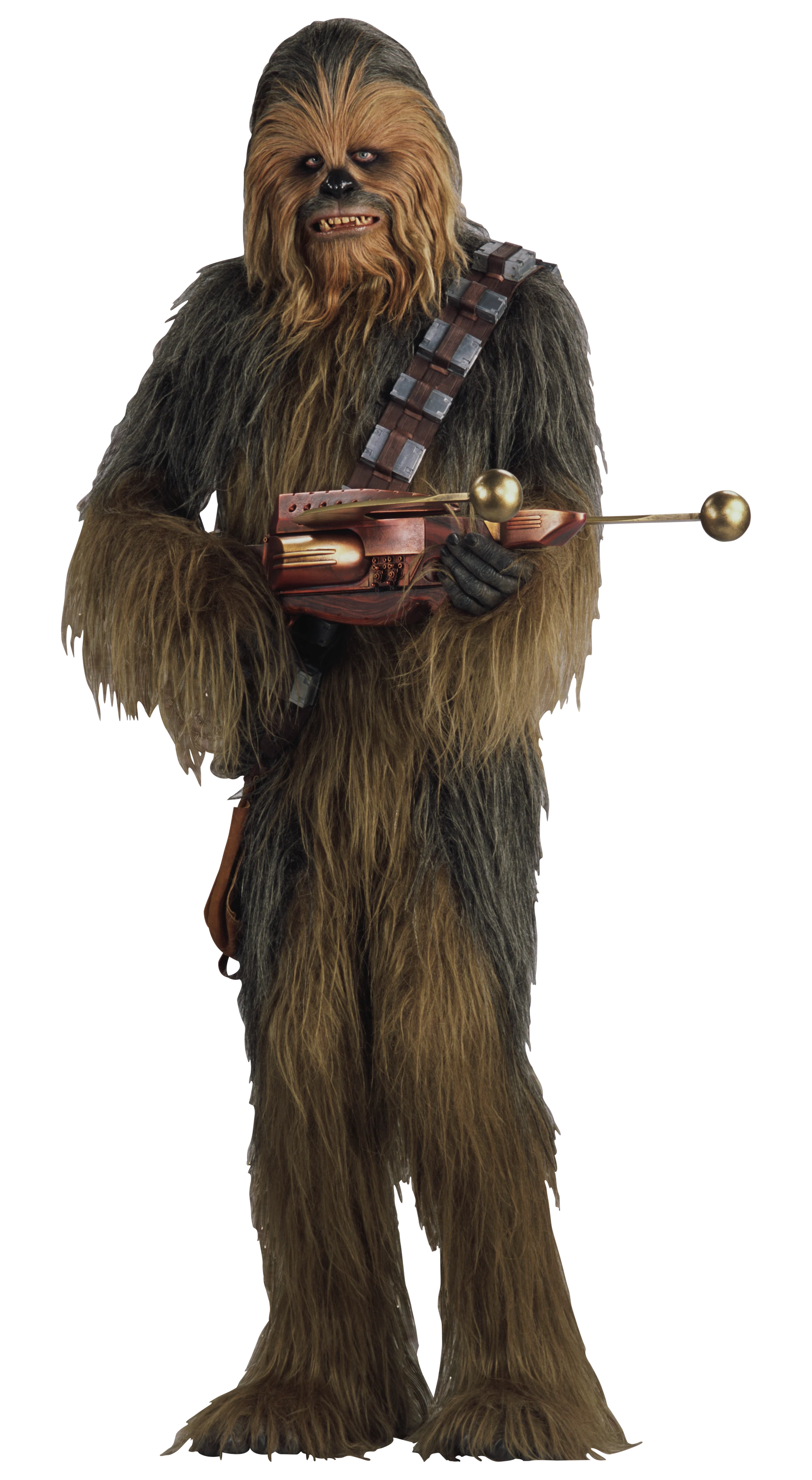 Wookiee Star Wars Wiki Fandom