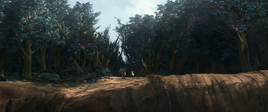 Upper Forest Region