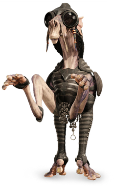 Dug full body