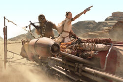 Rey-Chewie-Skimmer