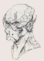 Un  con un gnullith.