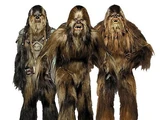 Wookiee/Leyendas