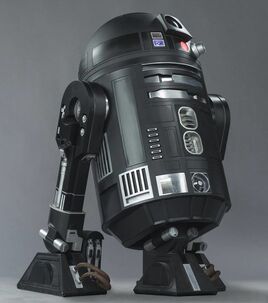 C2-B5