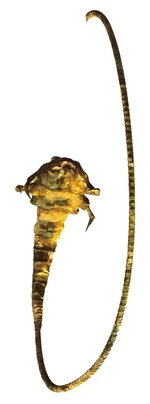Un provoker spineray