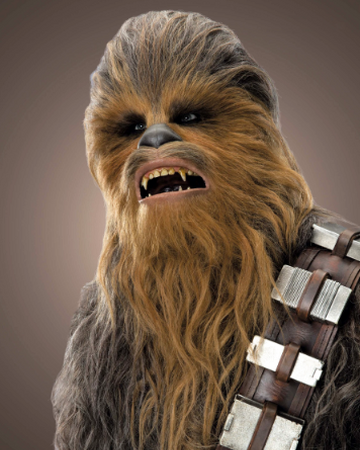 Chewbacca Star Wars Wiki Fandom