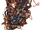 Abrazo del Dolor