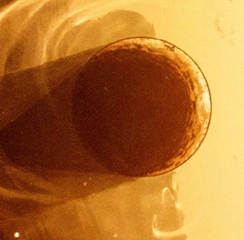 FlashpointPlanet-KOTOR10