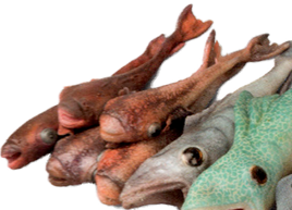 Coppergrin