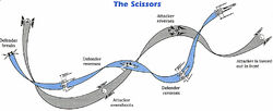 The scissors