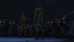 Un gran grupo de fyrnocks siendo domado por Ezra Bridger.