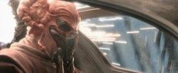 Plo Koon Death