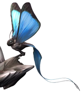 CarrierButterfly-oldDb