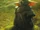 Insider203-Subs.jpg