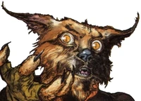 Bimm (especie peluda) | Star Wars Wiki | Fandom