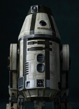 D4-R4B-SWCT