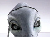 Taun We