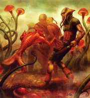 Exploración en Nyriaan