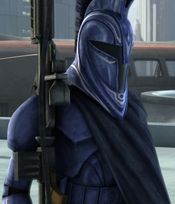 TCW Honor Guard 2