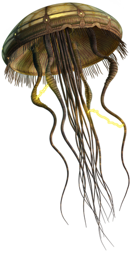 HydroidMedusa-SWE