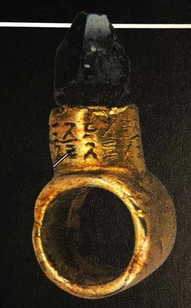 Snoke ring