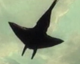 Felucian flying manta
