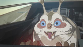 Buggle'sDayOut