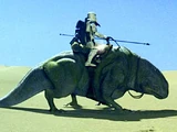 Dewback