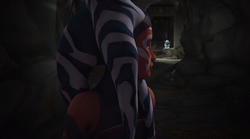 YodaAhsoka